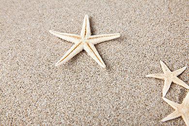 《艾尔登法环：黑夜君临》新永夜王公布 慧心虫增强版